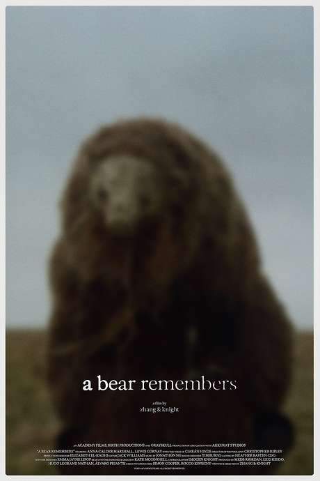 A Bear Remembers